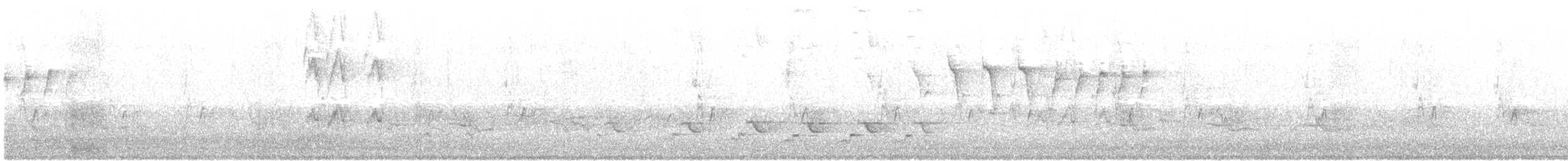 Northern Cardinal - ML48443121