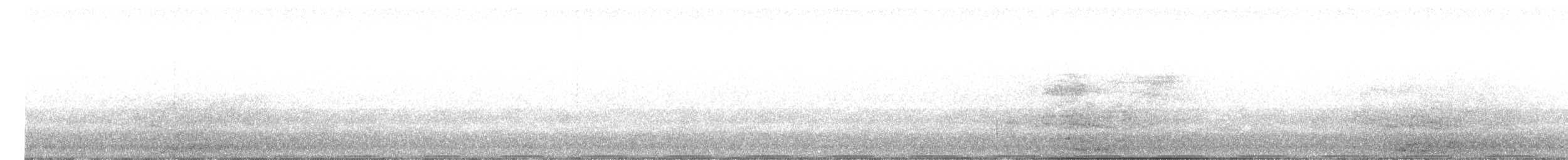 Avustralya Kocaağzı - ML484459561