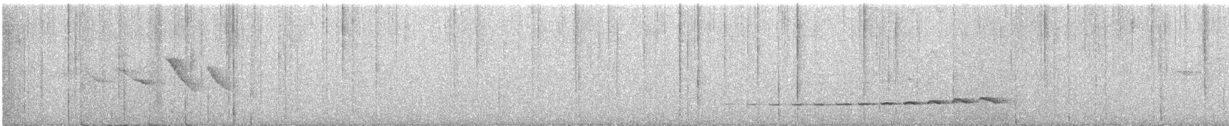 Tororoí de Natterer - ML484491521