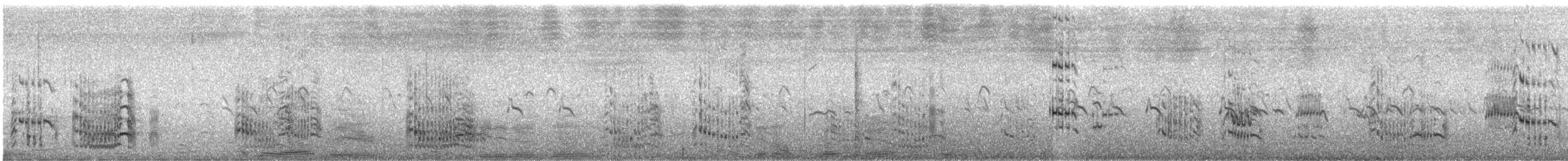 Royal Tern - ML484497571