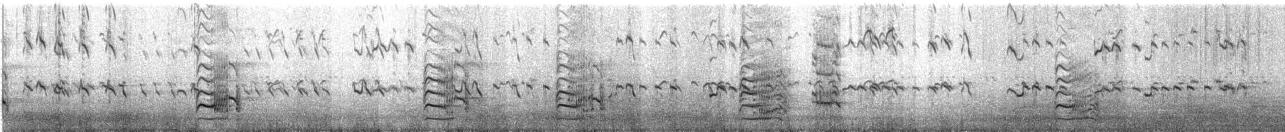 Royal Tern - ML484502301