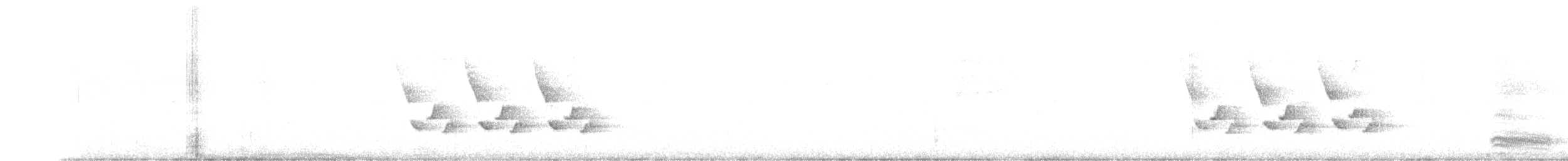 Karolina Çıtkuşu - ML484523151