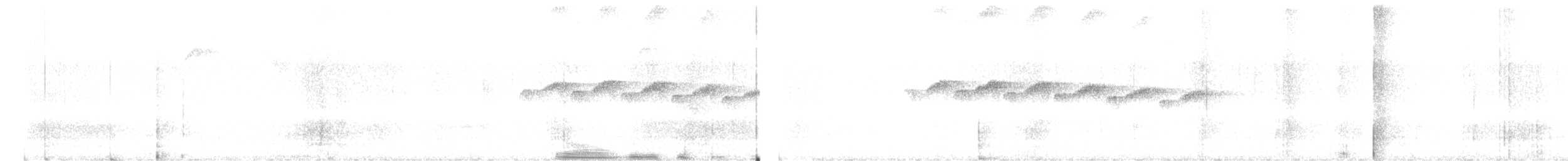 Schmuckbrust-Ameisenvogel - ML484542721
