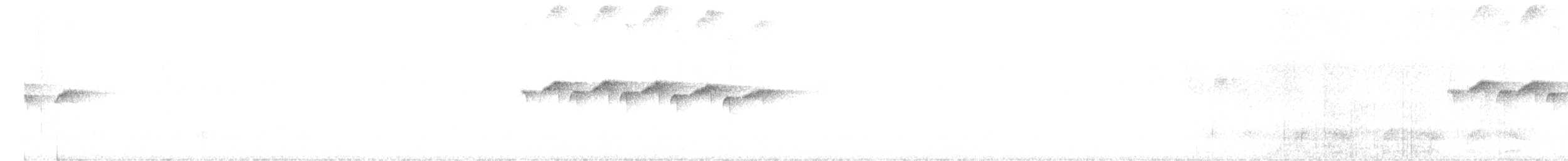 Beyaz Gerdanlı Karıncakuşu - ML484542741