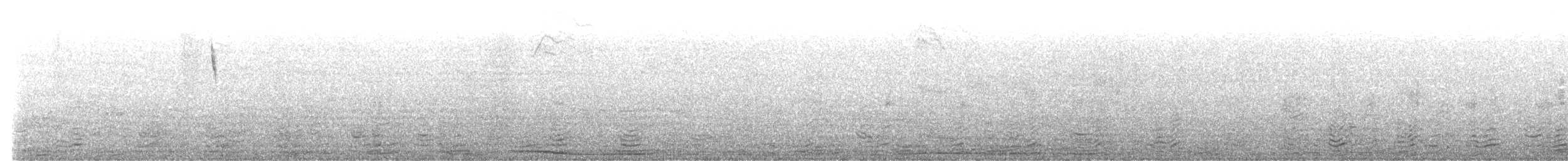 Savannah Serçesi (rostratus/atratus) - ML484550571