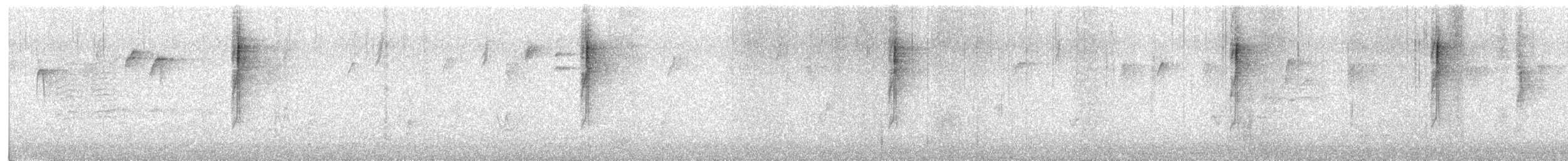 Paruline à gorge grise - ML484597161