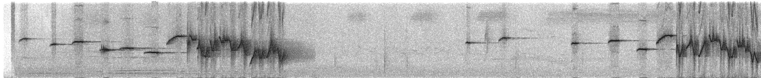 Goldscheitel-Stutzschwanz - ML484605641