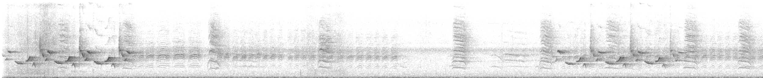 Каролинский крапивник - ML484612721