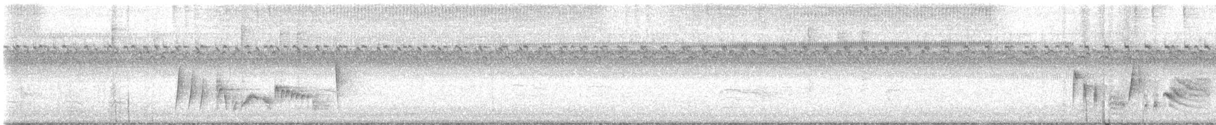 White-eyed Vireo - ML484612791