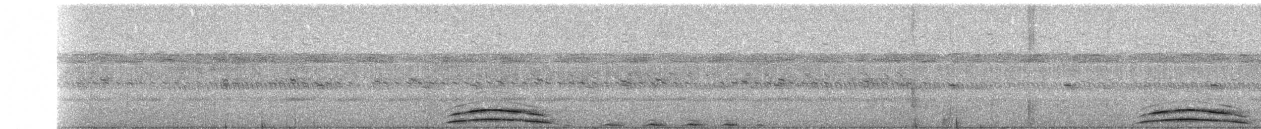 Mottled Owl - ML484682901