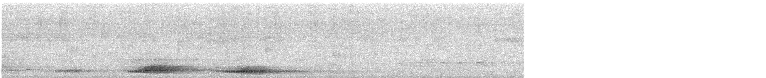 Папуанский веерокрыл - ML484715831