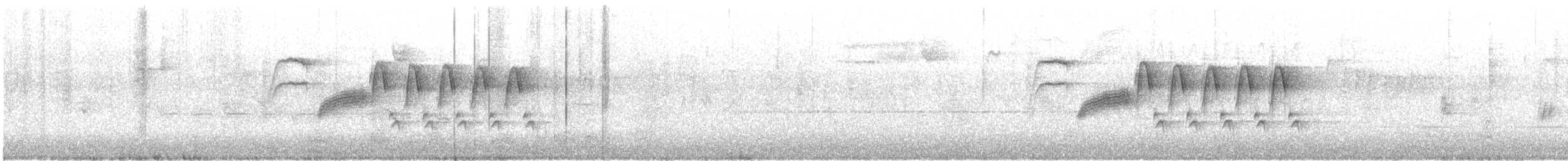 Bewick Çıtkuşu - ML48478971