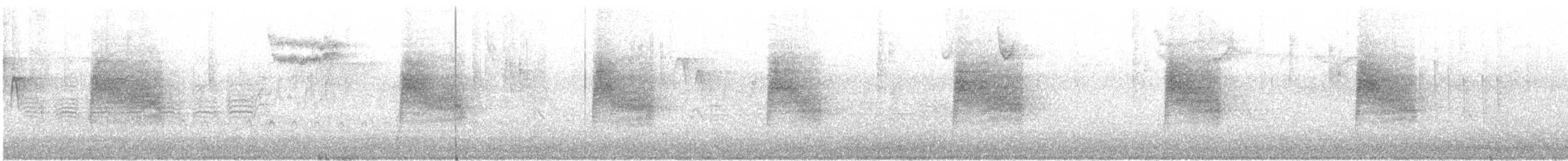 Troglodyte de Bewick - ML48479001