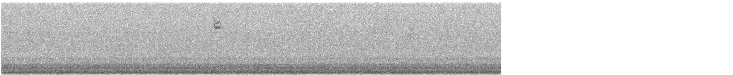 passerine sp. - ML484797151