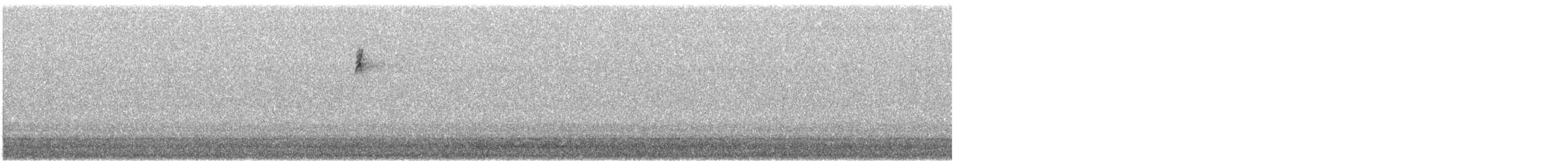 bird sp. - ML484797191