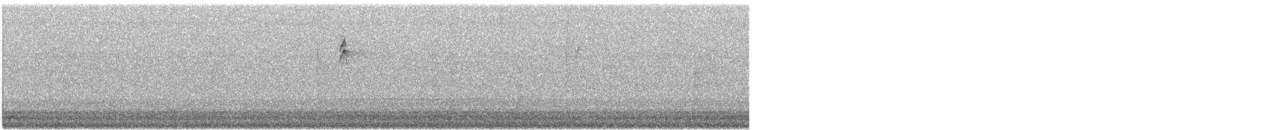 bird sp. - ML484797201