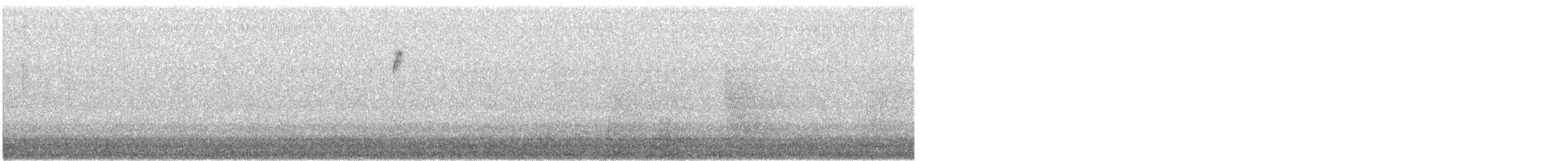 bird sp. - ML484797221