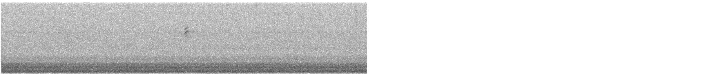 bird sp. - ML484797241