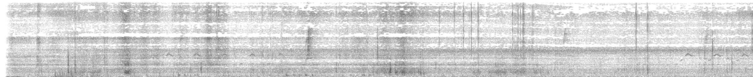 Connecticut Warbler - ML484798271