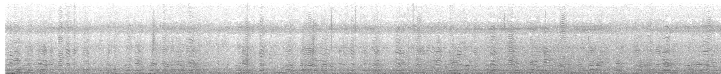 husovec strakatý - ML484844811