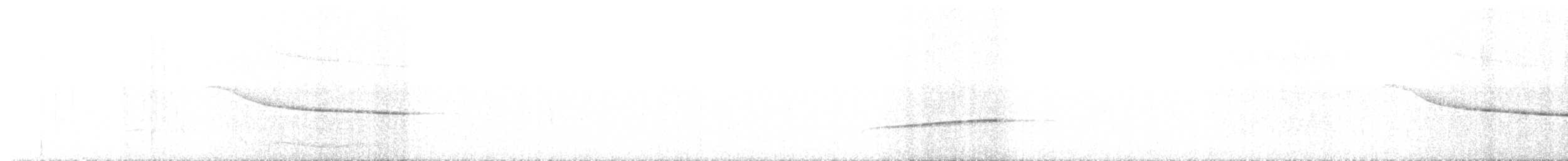 Northern Scrub-Robin - ML484846551