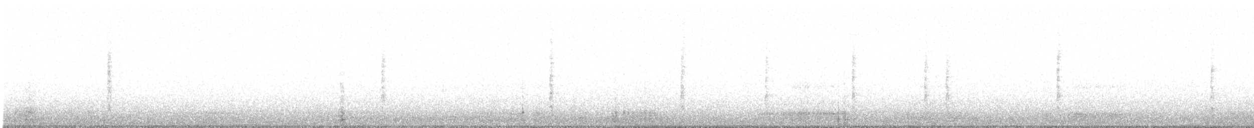 White-cheeked Honeyeater - ML484862881