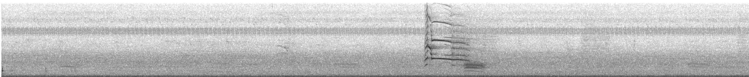 Indian Gray Hornbill - ML484901671