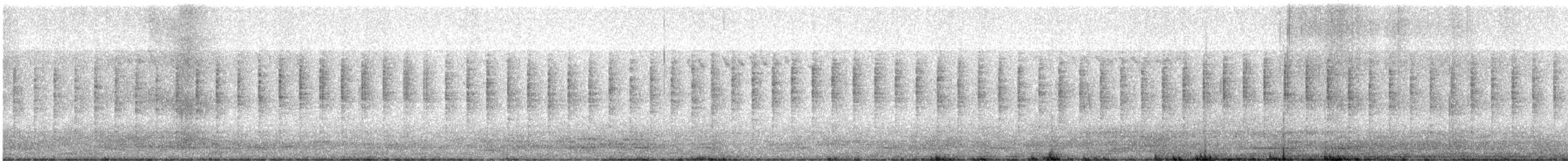 Wren-like Rushbird - ML484971691