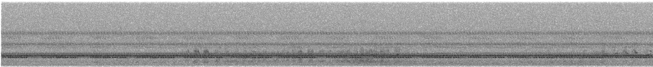 passerine sp. - ML485010581