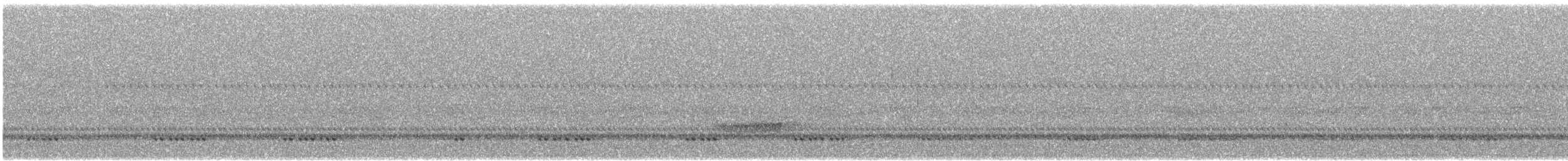 American Barn Owl - ML485013561