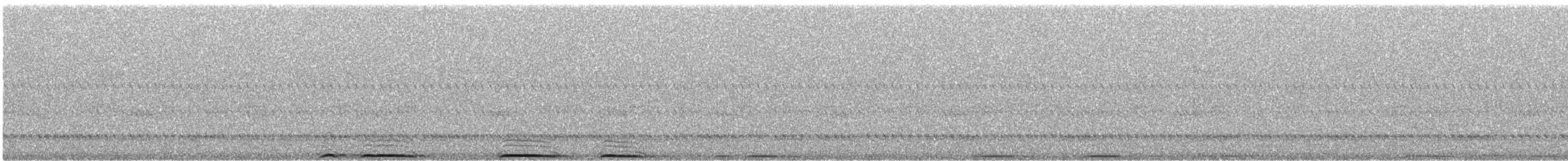 Great Horned Owl - ML485013591