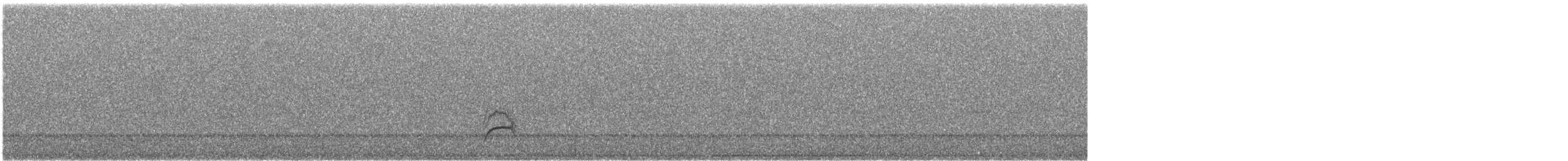 Swainson's Thrush - ML485013681