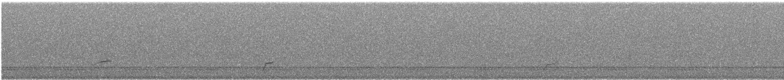 Swainson's Thrush - ML485013701