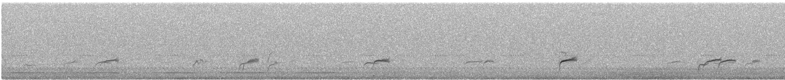 Swainson's Thrush - ML485013721