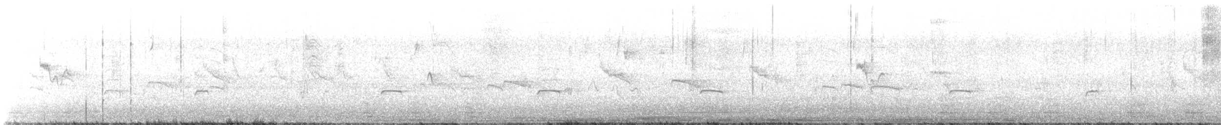 シマキンパラ - ML485035191