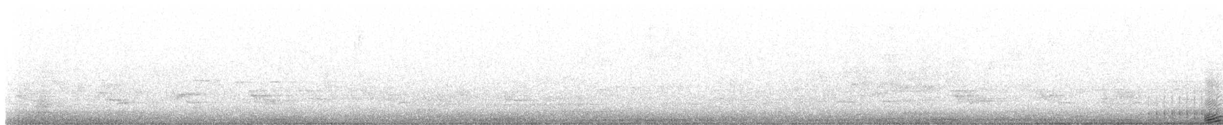 Chouette rayée - ML485053771