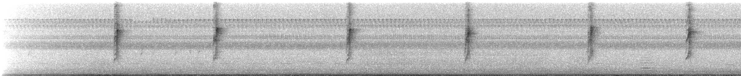 Connecticut Warbler - ML485084231