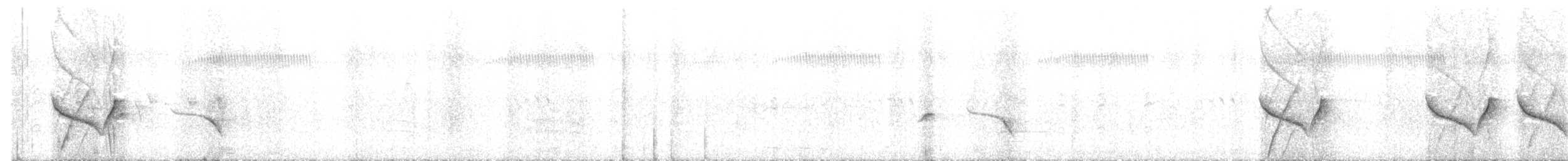 papirbarkmonark - ML485102881