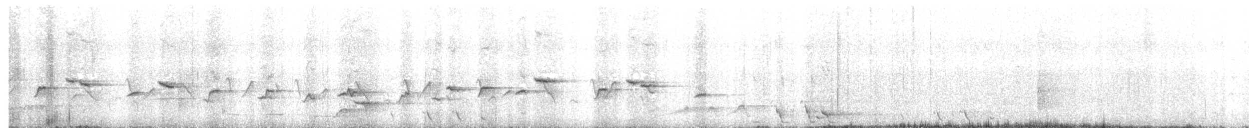 skjeggerygone (palpebrosa gr.) - ML485109651