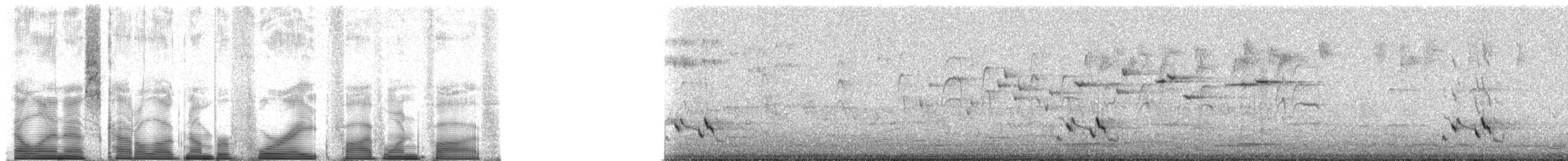 Streifenpanthervogel - ML48515