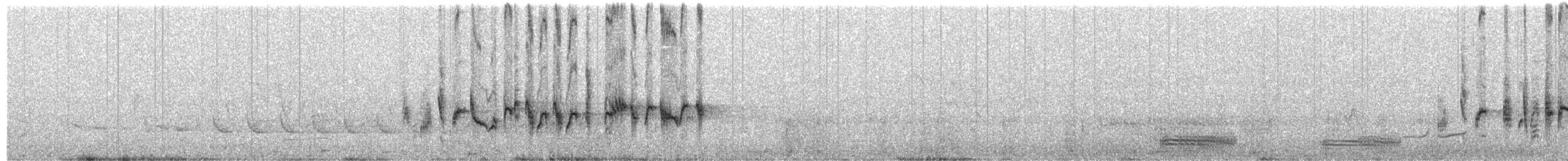 Klappergrasmücke (althaea) - ML485173001