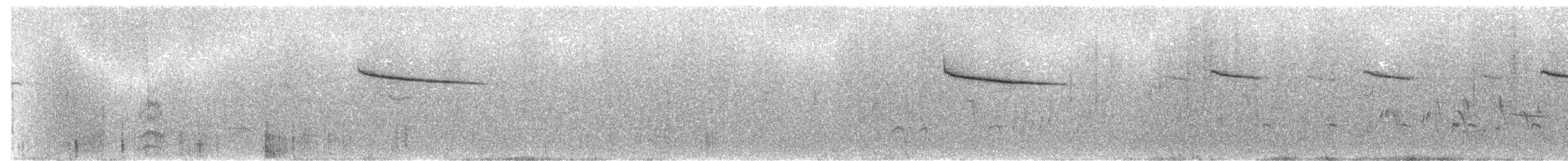 moudivláček černohlavý - ML485183011