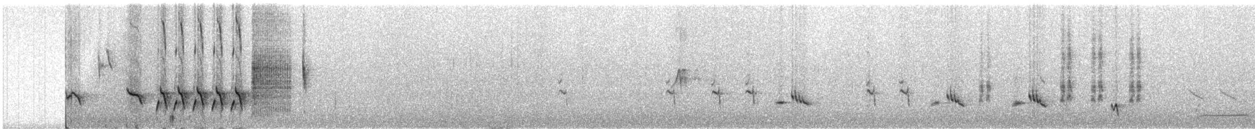 זמיר הירדן (מזרחי) - ML485185911