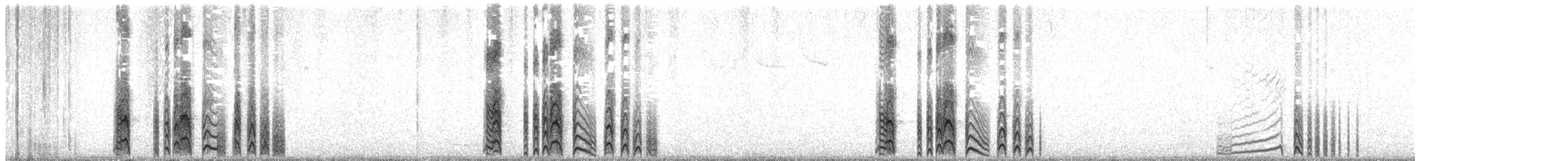 コシジロウミツバメ - ML485216241