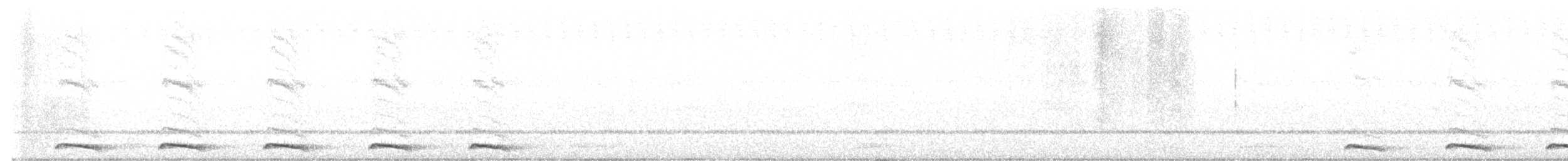 Chevêchette du Cap - ML485220021