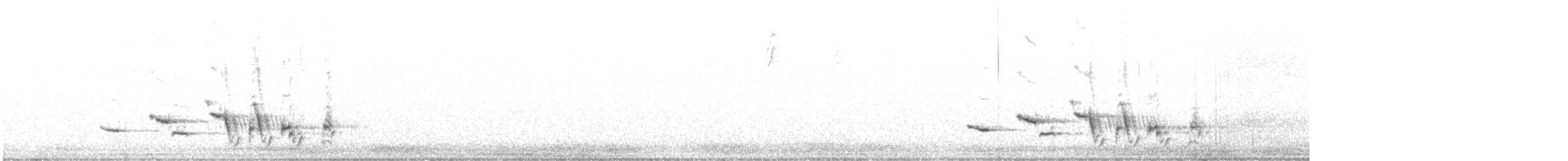 Western Meadowlark - ML485246101