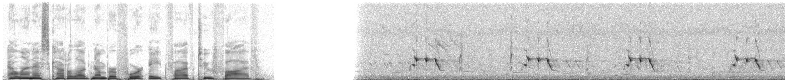 Streifenpanthervogel - ML48525