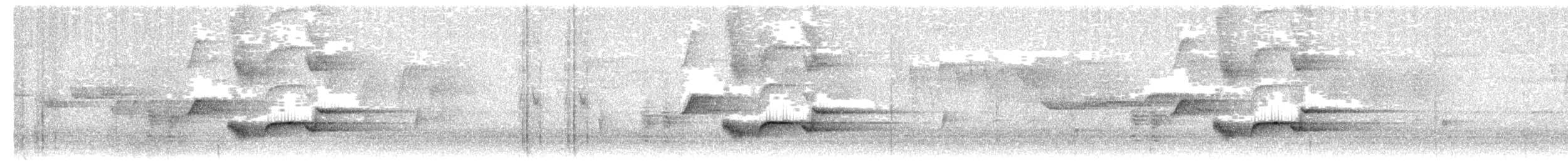 Ракетохвостый дронго - ML485255321