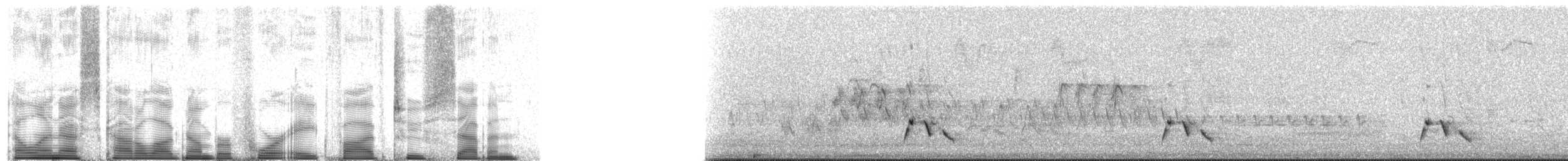 Streifenpanthervogel - ML48527