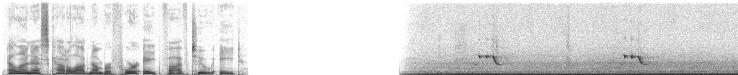 Streifenpanthervogel - ML48528
